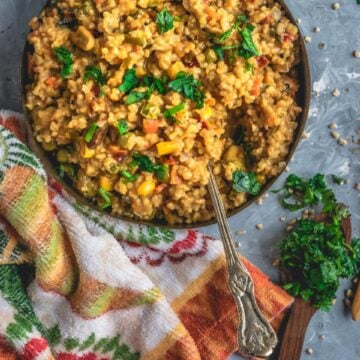a round bowl filled with Instant Pot Oats & Vegetable Upma and a spoon in it