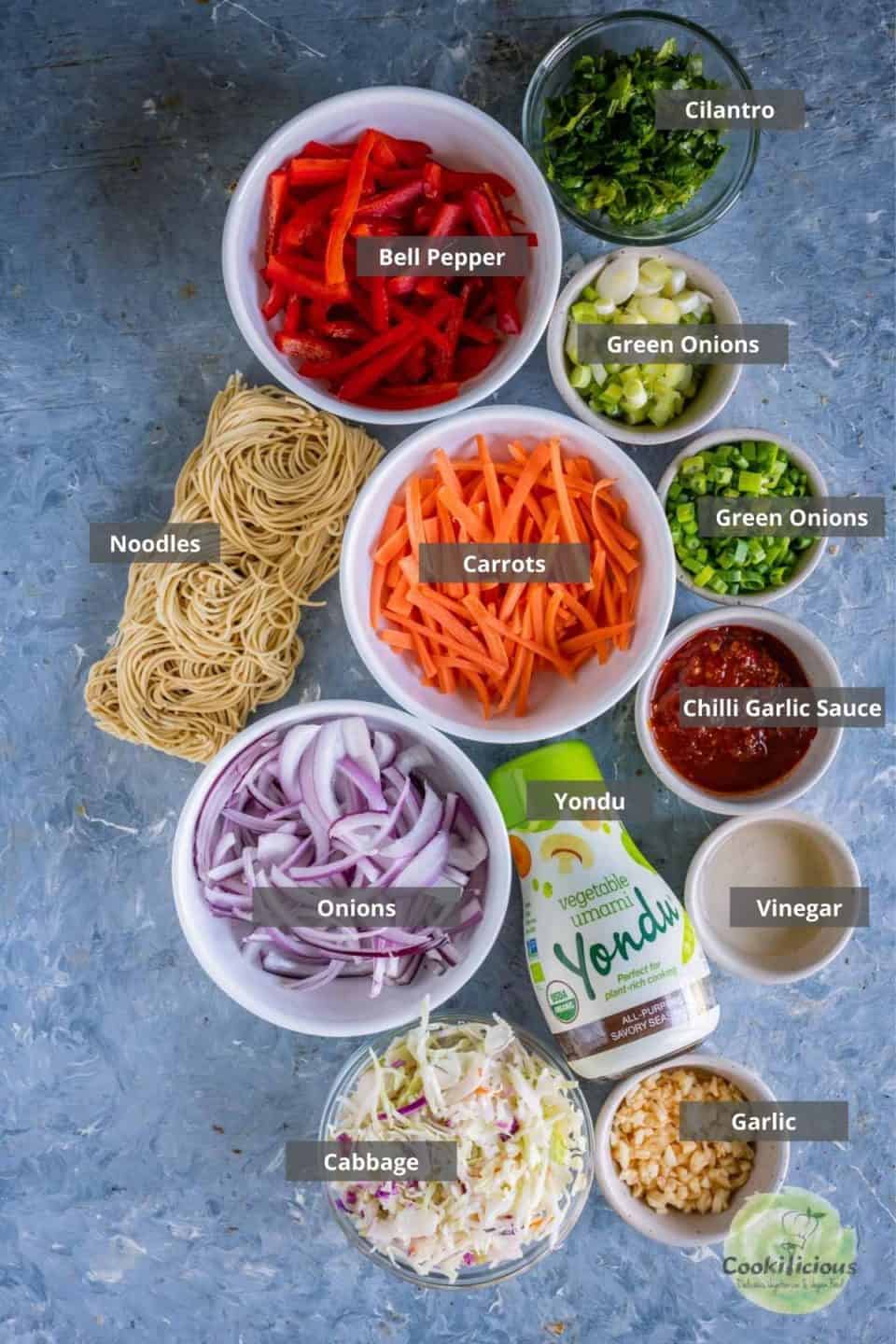 all the ingredients needed to make Chinese Bhel | Crispy Noodles Salad placed on a table with labels on them