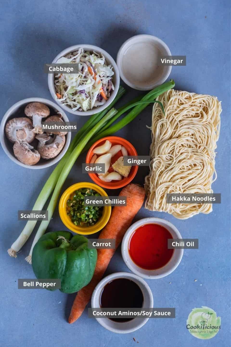 all the ingredients needed to make Veg Hakka Noodles placed on a table with labels on them